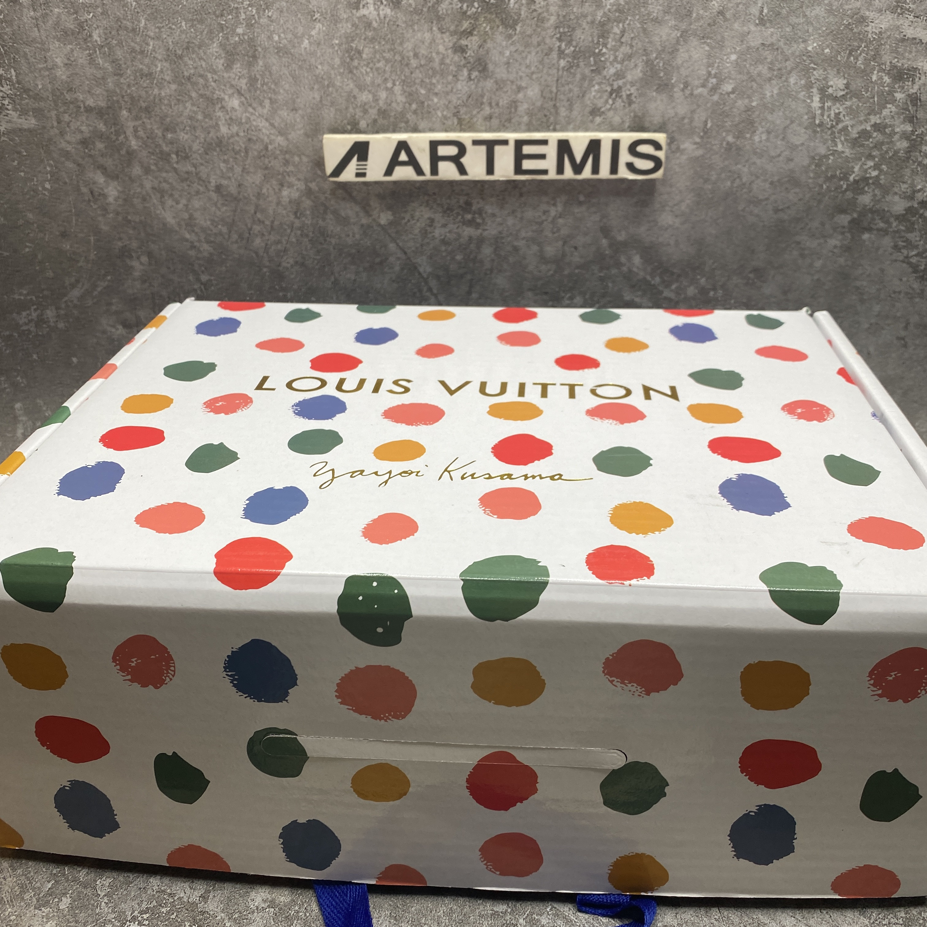 UA LV Skate Sneaker