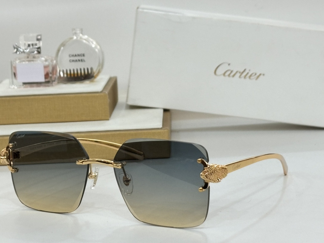 Ca*t*er glasses ct0647 60-17-145