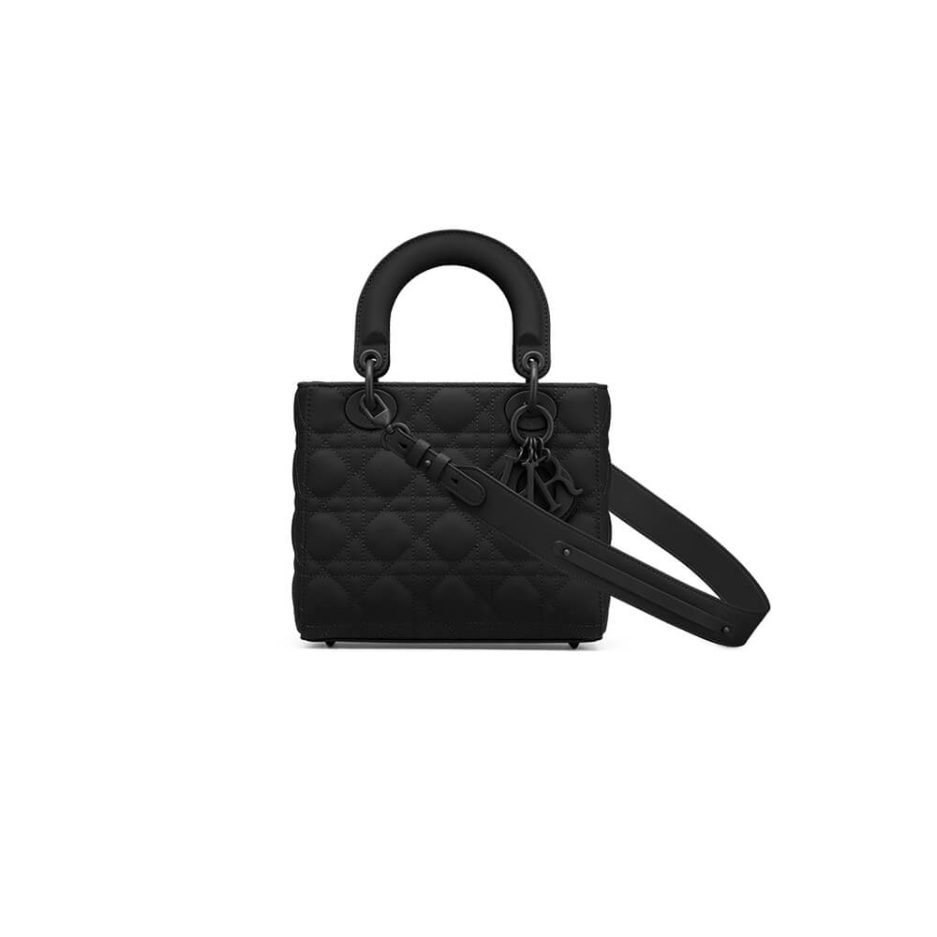 small lady D*or my abcD*or bag